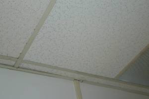 Repair Drop Ceiling Stained Replaced - Repair