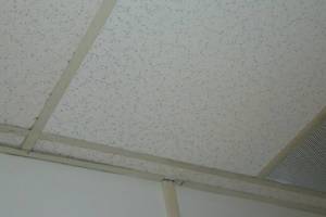 Repair Drop Ceiling Stained Replaced - Repair