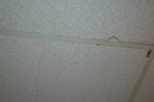 Repair Drop Ceiling Stained Replaced - Repair