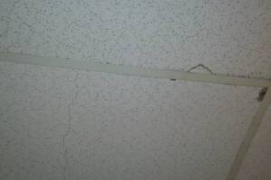 Repair Drop Ceiling Stained Replaced - Repair