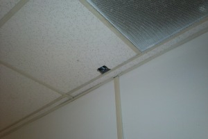 Repair Drop Ceiling Stained Replaced - Repair