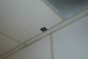 Repair Drop Ceiling Stained Replaced - Repair