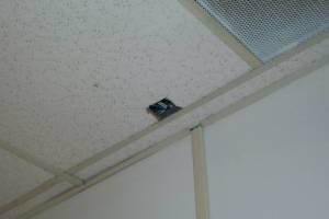 Repair Drop Ceiling Stained Replaced - Repair
