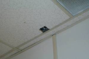 Repair Drop Ceiling Stained Replaced - Repair