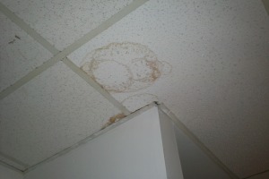 Repair Drop Ceiling Stained Replaced - Repair