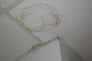 Repair Drop Ceiling Stained Replaced - Repair