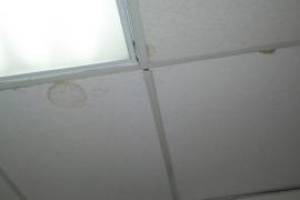 Repair Drop Ceiling Stained Replaced - Repair