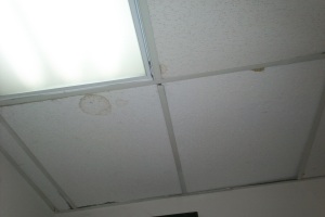 Repair Drop Ceiling Stained Replaced - Repair