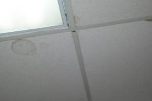 Repair Drop Ceiling Stained Replaced - Repair