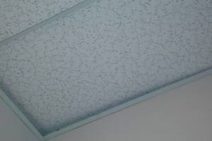 Repair Drop Ceiling Stained Replaced - Repair