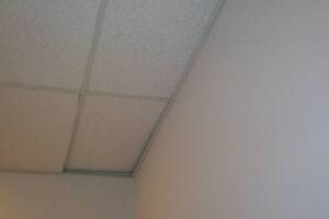 Repair Drop Ceiling Stained Replaced - Repair