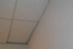 Repair Drop Ceiling Stained Replaced - Repair