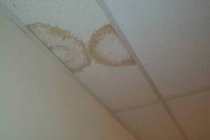 Repair Drop Ceiling Stained Replaced - Repair