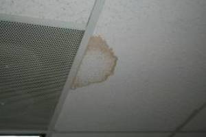 Repair Drop Ceiling Stained Replaced - Repair