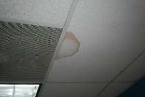 Repair Drop Ceiling Stained Replaced - Repair