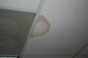 Repair Drop Ceiling Stained Replaced - Repair