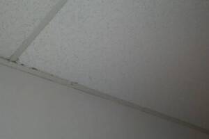Repair Drop Ceiling Stained Replaced - Repair