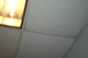Repair Drop Ceiling Stained Replaced - Repair