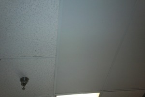 Repair Drop Ceiling Tbar Tiles Replaced - Repair