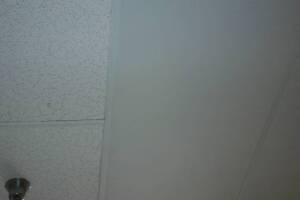 Repair Drop Ceiling Tbar Tiles Replaced - Repair
