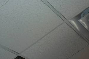 Repair Drop Ceiling Tbar Tiles Replaced - Repair