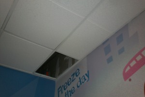 Repair Drop Ceiling Tbar Tiles Replaced - Repair