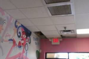 Oak Park Drop Ceiling Tile Installed T Bar Grid Repaired