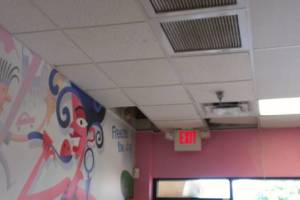 Drop Ceiling Tile Installs T Bar Ceiling Grid Repairs Replacement