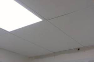 Repair Drop Ceiling Tbar Tiles Replaced - Repair