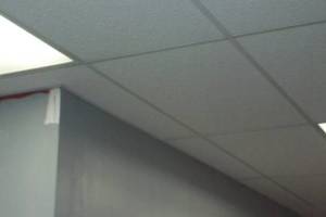 Repair Drop Ceiling Tiles Lighting Installed - Repair