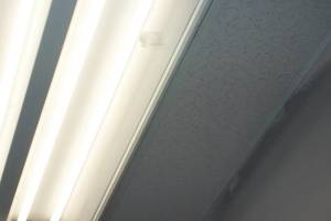 Repair Drop Ceiling Tiles Lighting Installed - Repair