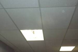 Repair Drop Ceiling Tiles Lighting Installed - Repair