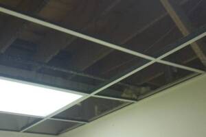 Repair Drop Ceiling Whole Office Replaced - Repair