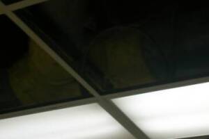 Repair Drop Ceiling Whole Office Replaced - Repair