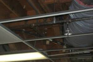 Repair Drop Ceiling Whole Office Replaced - Repair