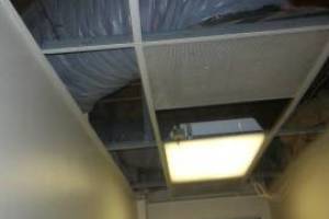 Repair Drop Ceiling Whole Office Replaced - Repair