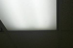 Repair Drop Ceiling Whole Office Replaced - Repair