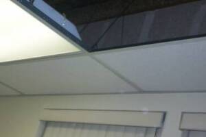 Repair Drop Ceiling Whole Office Replaced - Repair