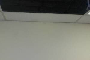 Repair Drop Ceiling Whole Office Replaced - Repair