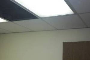 Repair Drop Ceiling Whole Office Replaced - Repair