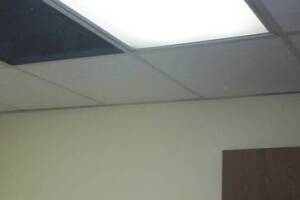 Repair Drop Ceiling Whole Office Replaced - Repair