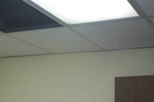 Repair Drop Ceiling Whole Office Replaced - Repair