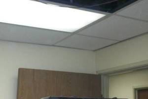 Repair Drop Ceiling Whole Office Replaced - Repair