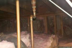 Repair Drop Ceiling Whole Office Replaced - Repair