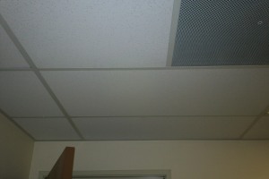 Repair Drop Ceiling Whole Office Replaced - Repair