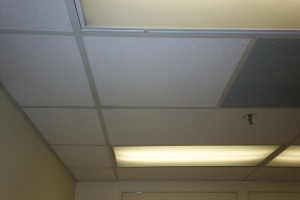 Repair Drop Ceiling Whole Office Replaced - Repair