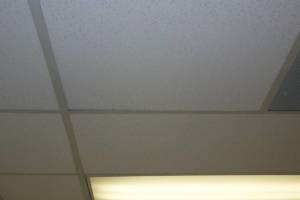 Repair Drop Ceiling Whole Office Replaced - Repair
