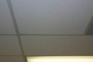 Repair Drop Ceiling Whole Office Replaced - Repair