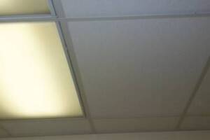Repair Drop Ceiling Whole Office Replaced - Repair