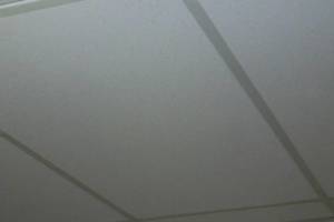 Repair Drop Ceiling Whole Office Replaced - Repair